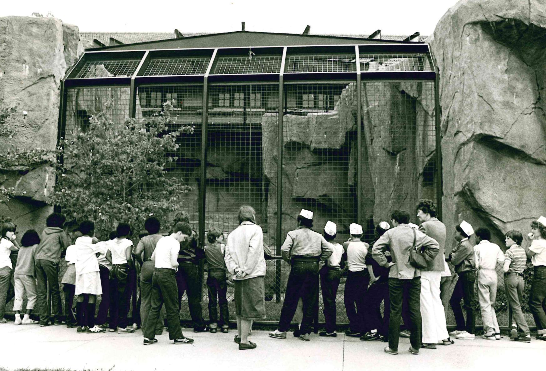1984 photo